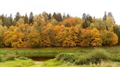 Фото нашего гида Александра Чудновского