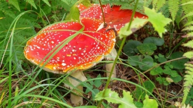 Фото из архива Клуба