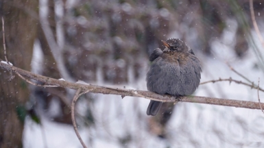 Фото Atanas Dzhingarov для Unsplash