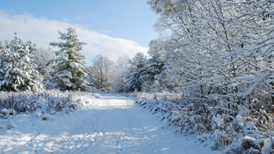 Фото Аllison Вatley для Unsplash