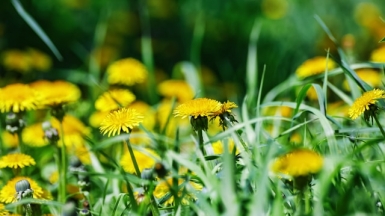 Фото: Oleg Podlesnykh on Unsplash