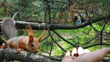 Фото: Vlad Panov on Unsplash