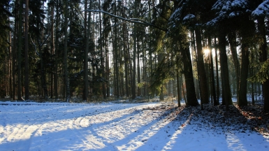 Фото Barbara Krysztofiak для unsplash.com