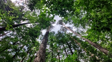 Фото нашего гида Галины Чудновской
