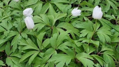 Фото гида Галины Чудновской