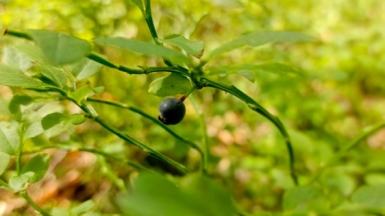 Фото гида Марии Новиковой