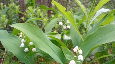Фото гида Странника Ирины Пряничниковой
