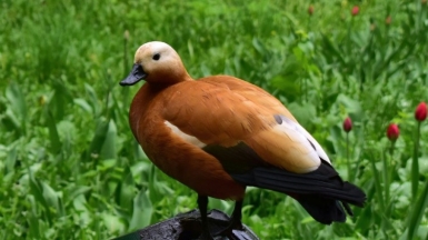 Фото: Polina Grishma on Unsplash