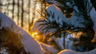 Фото: george filatov on unsplash