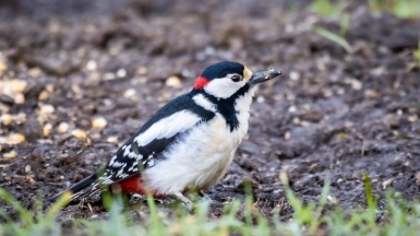 Фото гида Михаила Верёвченко
