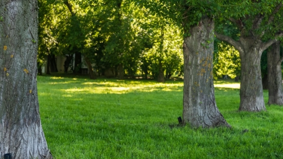 Фото: Oleg Podlesnykh on Unsplash