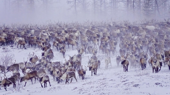 Фото из архива Клуба