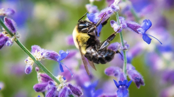 Фото: Gary Meulemans on Unsplash