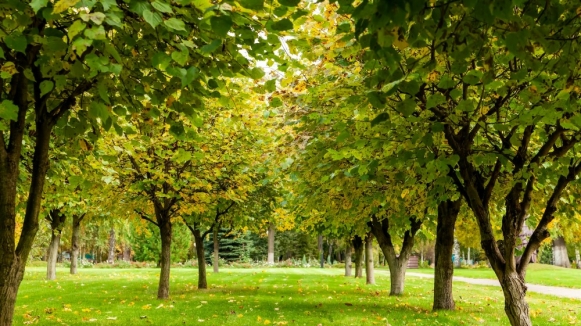 Фото: Oleg Podlesnykh on Unsplash