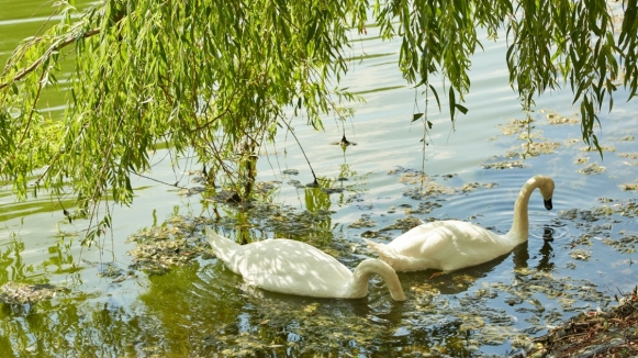 Фото: Workman Kapotnya on Unsplash