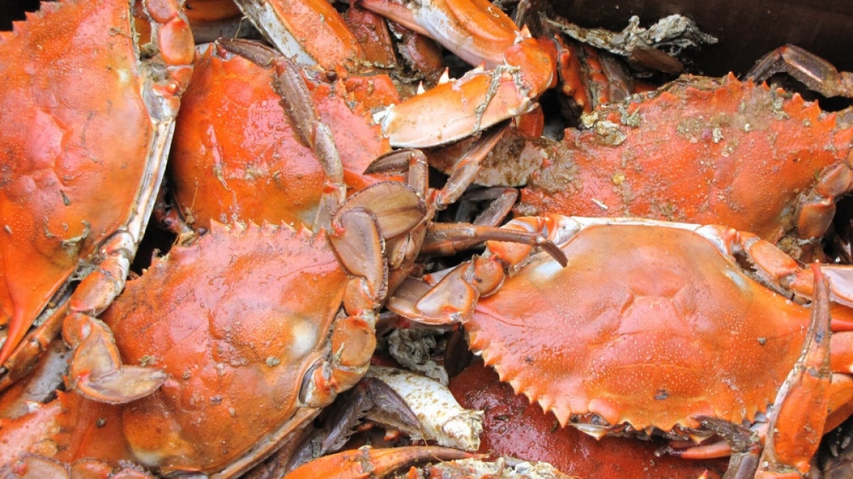 Фото: alvin matthews, unsplash.com