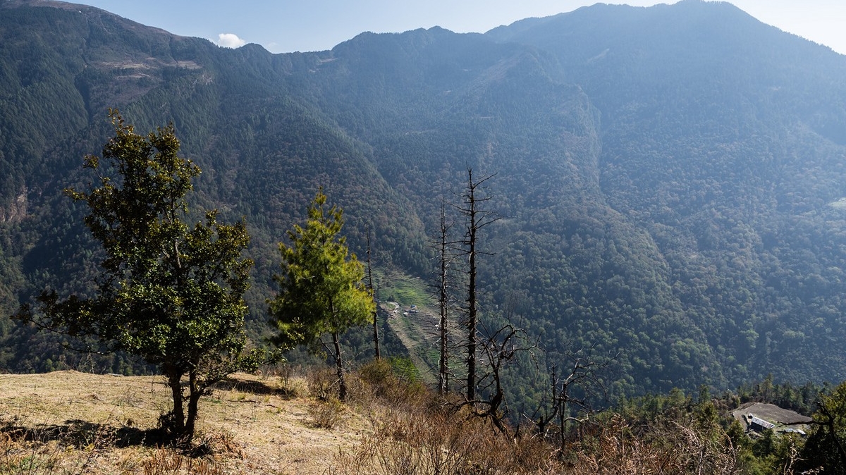 Автор: Михаил Поляков. Источник: mikhpo.livejournal.com