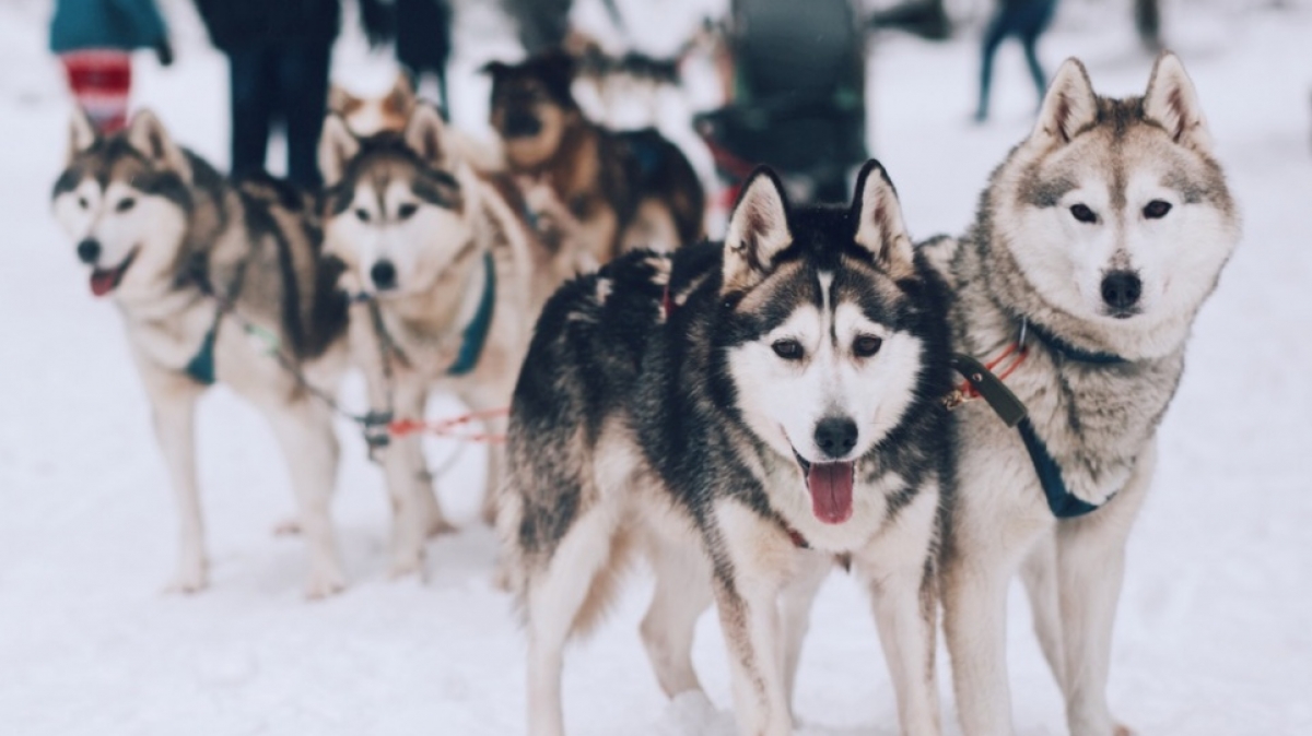 Фото из архива Клуба