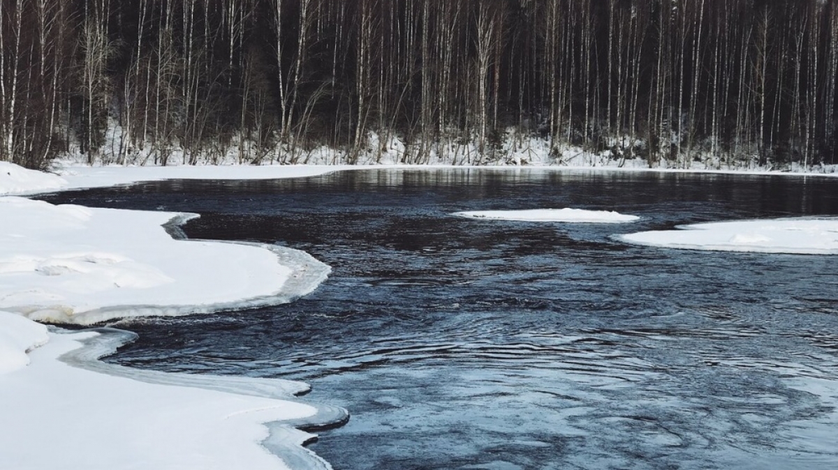 Фото из архива Клуба