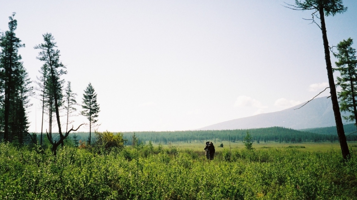 Фото: Kitty Terwolbeck, visualhunt.com