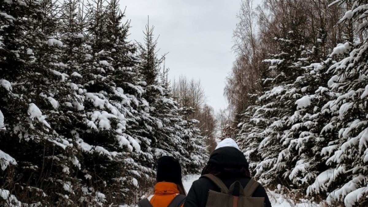 Фото: Karlis Reimanis, unsplash.com