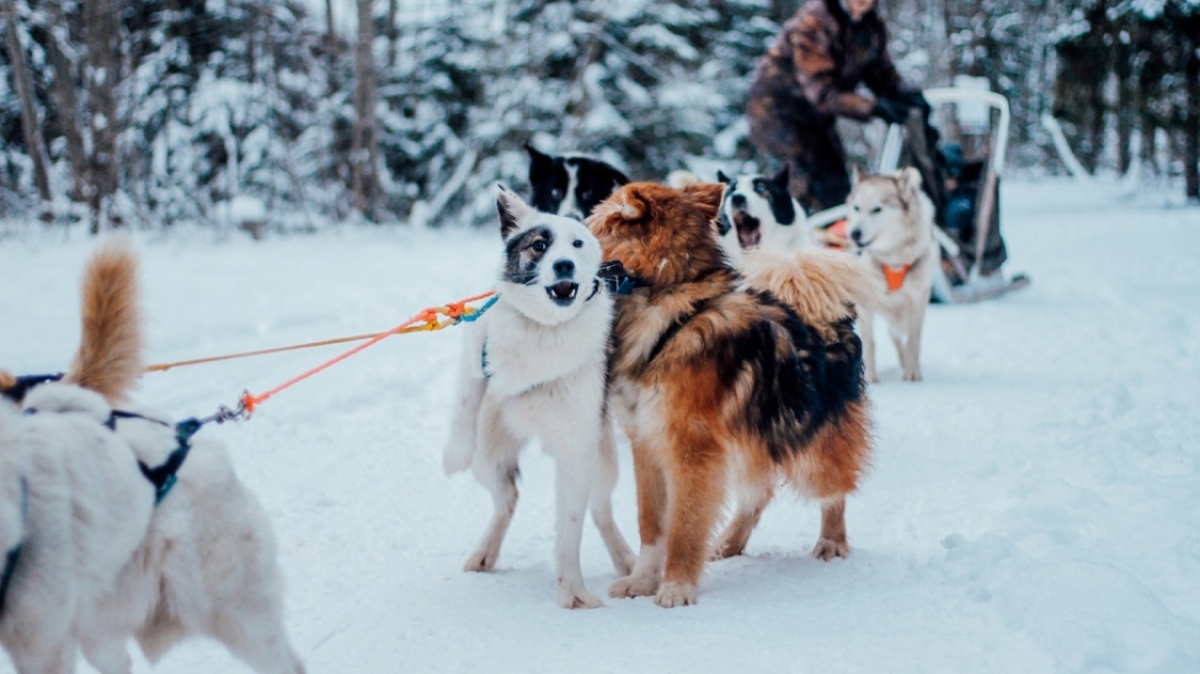 Фото из архива Клуба