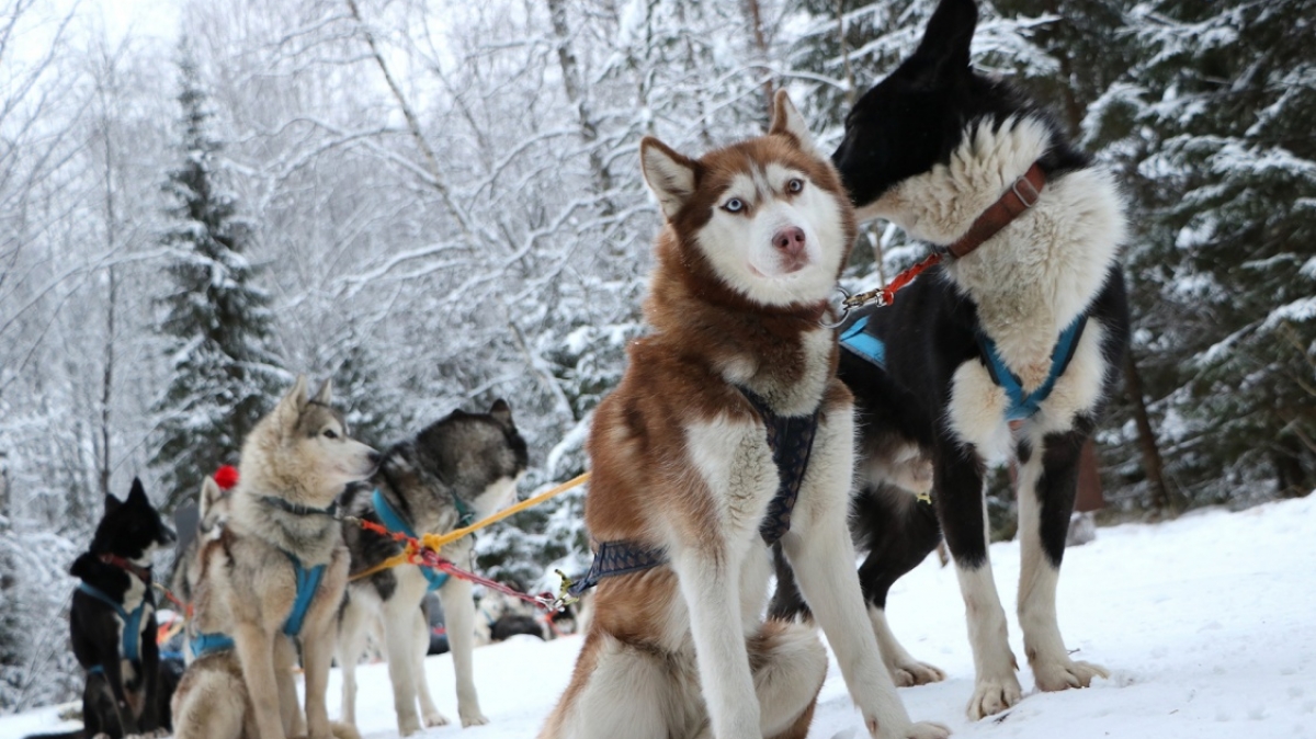 Фото из архива Клуба