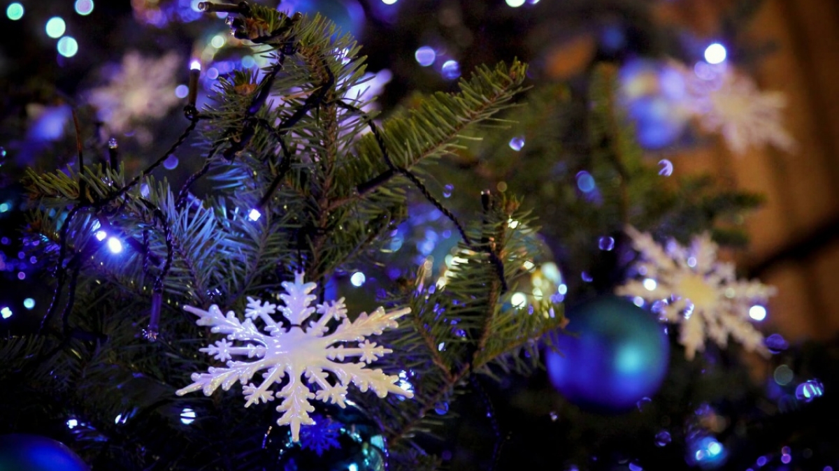 Фото: Ice Tea, unsplash.com