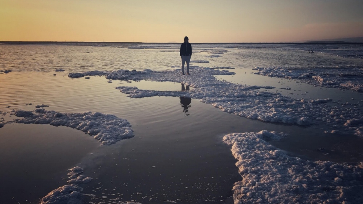 Фото: Danica Liu, unsplash.com