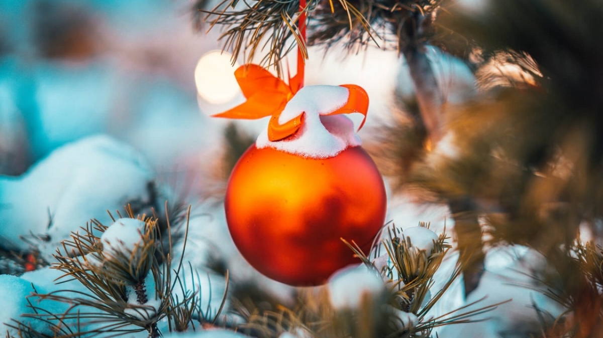 Фото: Raimond Klavins, unsplash.com