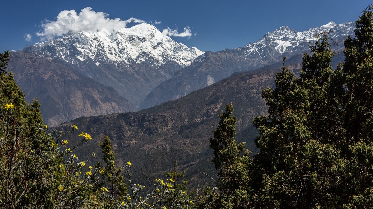 Автор: Михаил Поляков. Источник: mikhpo.livejournal.com