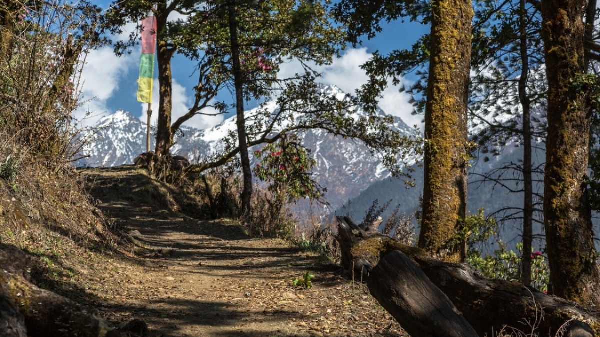 Автор: Михаил Поляков. Источник: mikhpo.livejournal.com