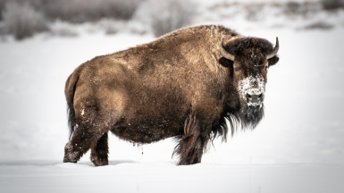 Фото: Vincent Ledvina, unsplash