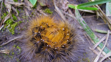 Фото из архива Клуба