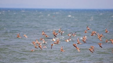 Фото: coniferconifer on visualhunt