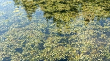 Фото наших Странников