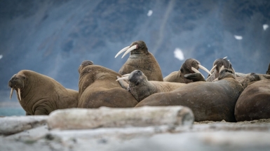 Фото: Rod Long on unsplash