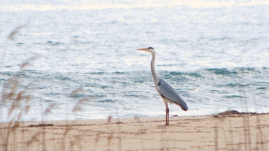 Фото: katunchik, visualhunt.com