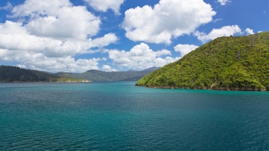 Фото нашей Странницы Татьяны Руновой