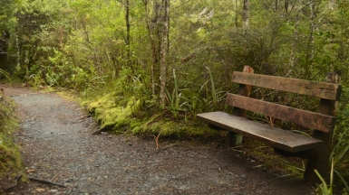 Фото: Pedro Nuno Caetano, visualhunt.com