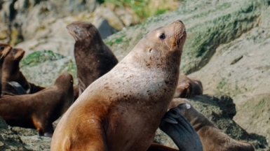 Фото из архива Клуба