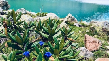 Фото наших Странников