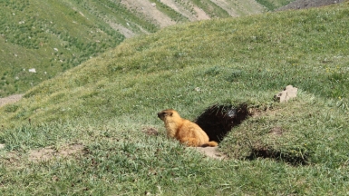 Из архива Клуба