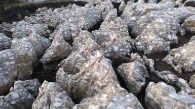 Фото наших Странников