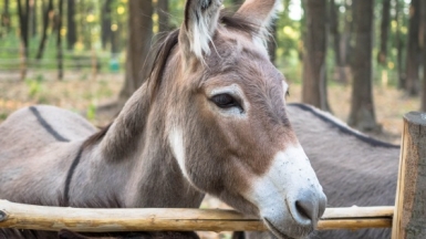 Фото: Dmitriy Serafin, unsplash.com