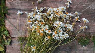 Фото: Julia Berezina, unsplash