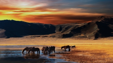 Фото: Depositphotos