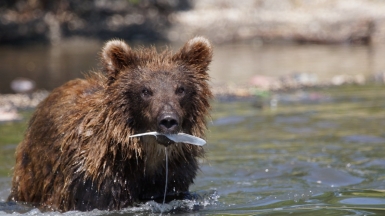 Фото: deischi on visualhunt