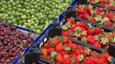 Фото нашего гида Галины Жигулиной