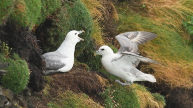 Фото: Tim Worfolk, visualhunt.com